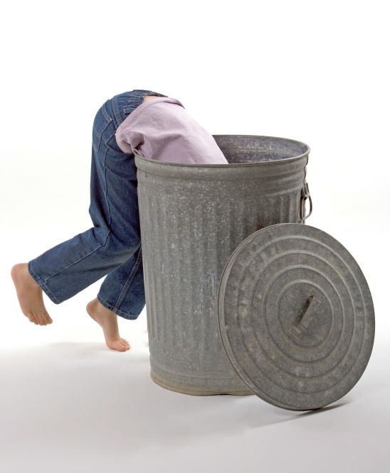 Embracing My Inner EcoBag Lady RecycleNation